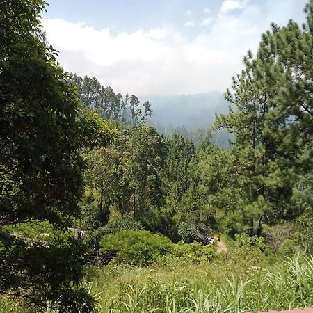 New Rose Villa Bandarawela Ella Ngoại thất bức ảnh