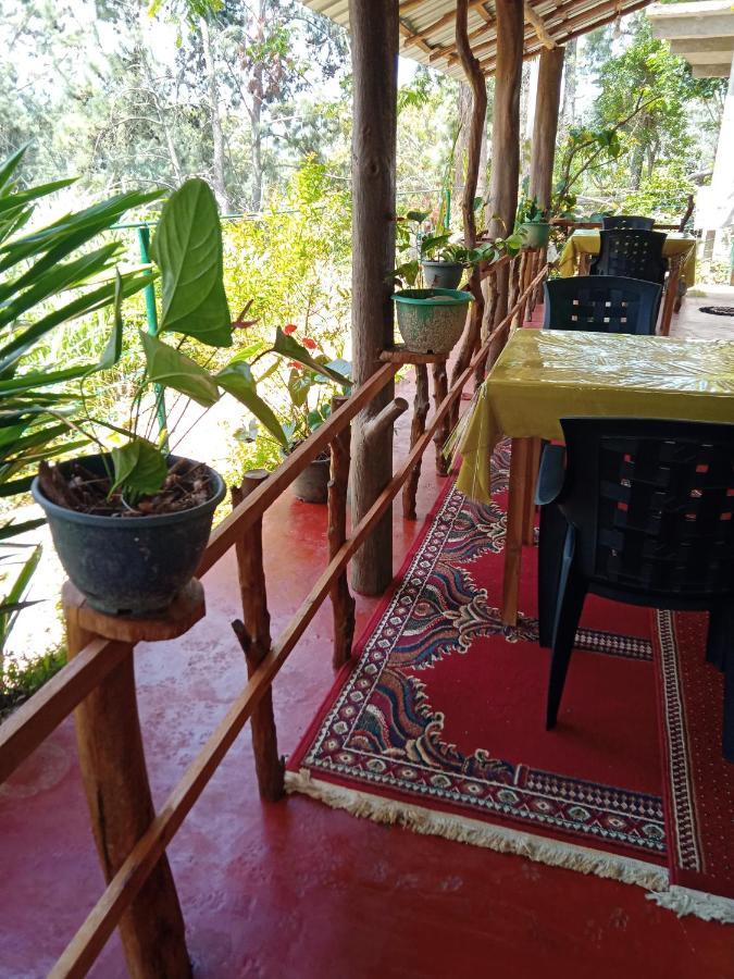 New Rose Villa Bandarawela Ella Ngoại thất bức ảnh