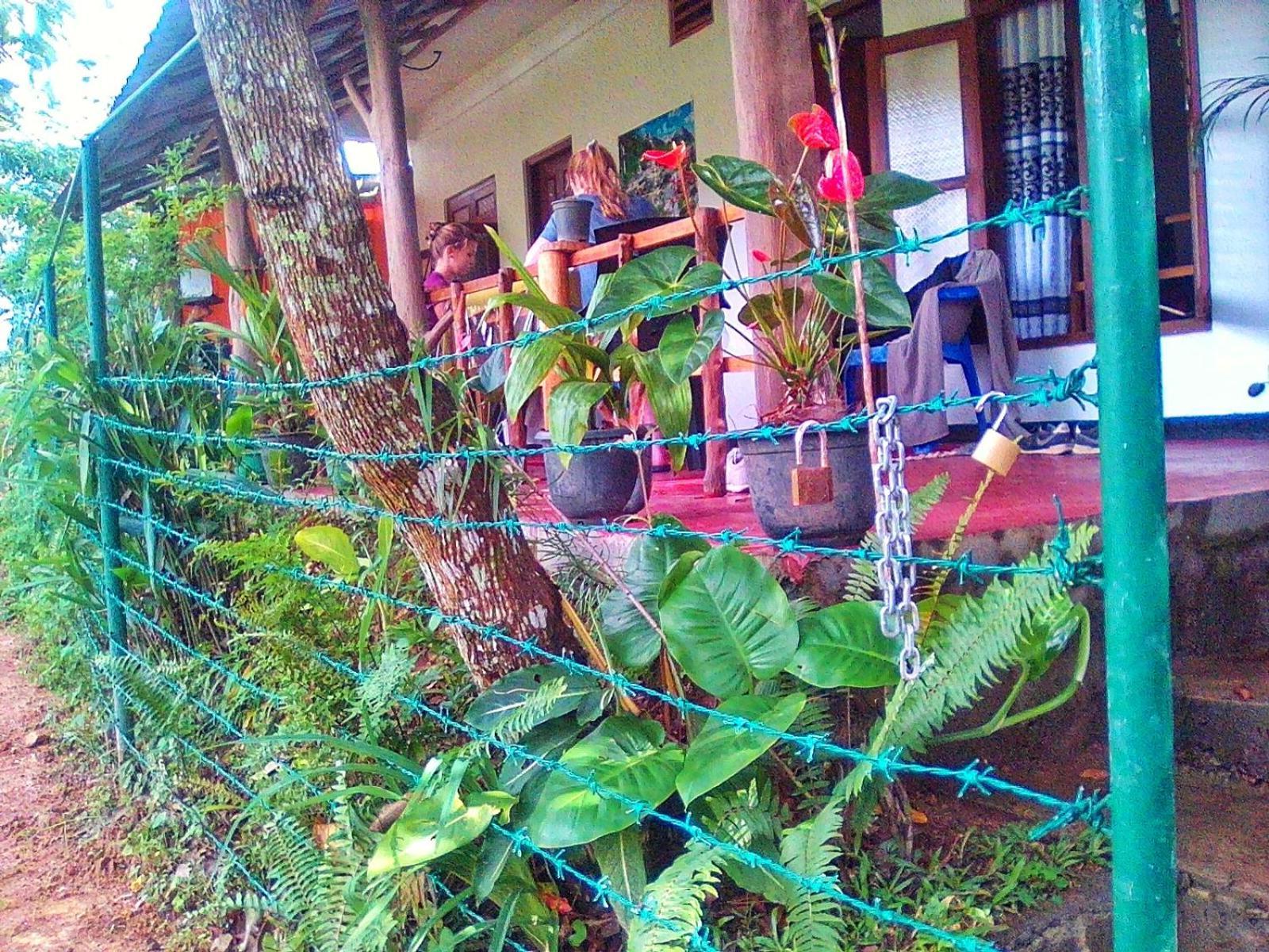 New Rose Villa Bandarawela Ella Ngoại thất bức ảnh