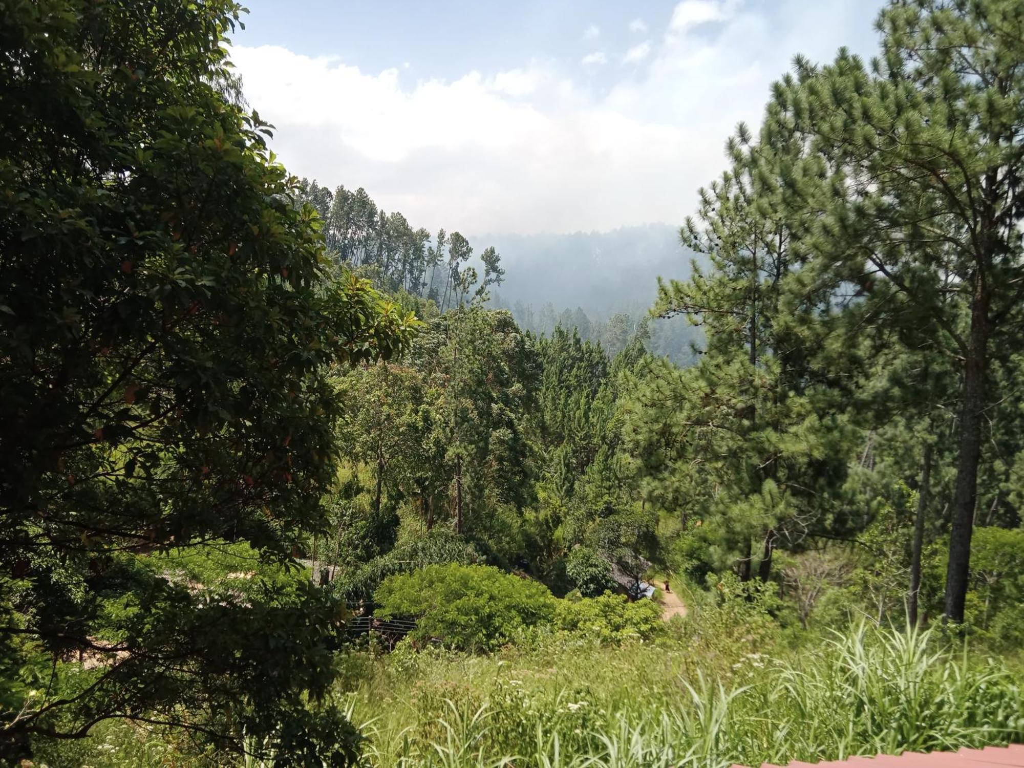 New Rose Villa Bandarawela Ella Ngoại thất bức ảnh