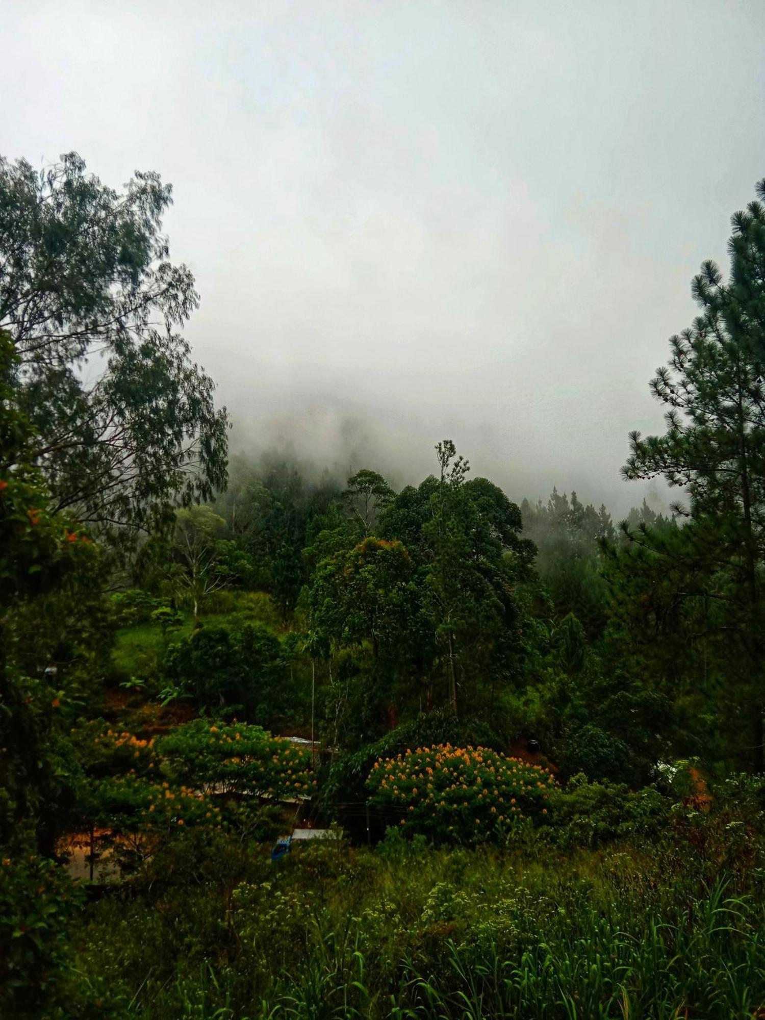 New Rose Villa Bandarawela Ella Ngoại thất bức ảnh