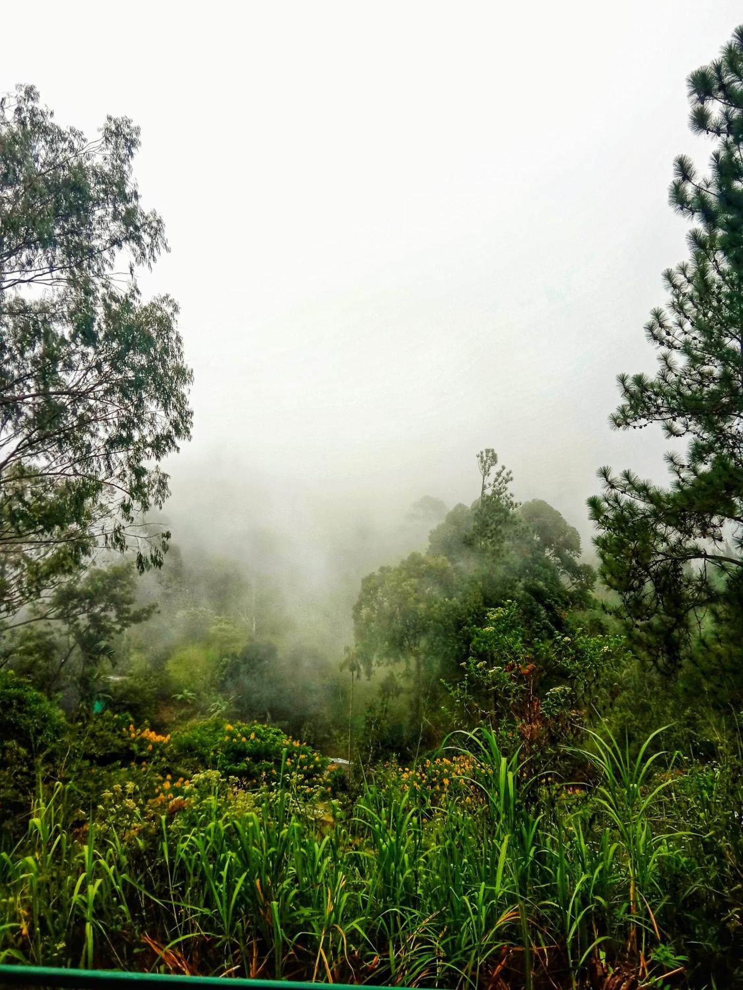 New Rose Villa Bandarawela Ella Ngoại thất bức ảnh