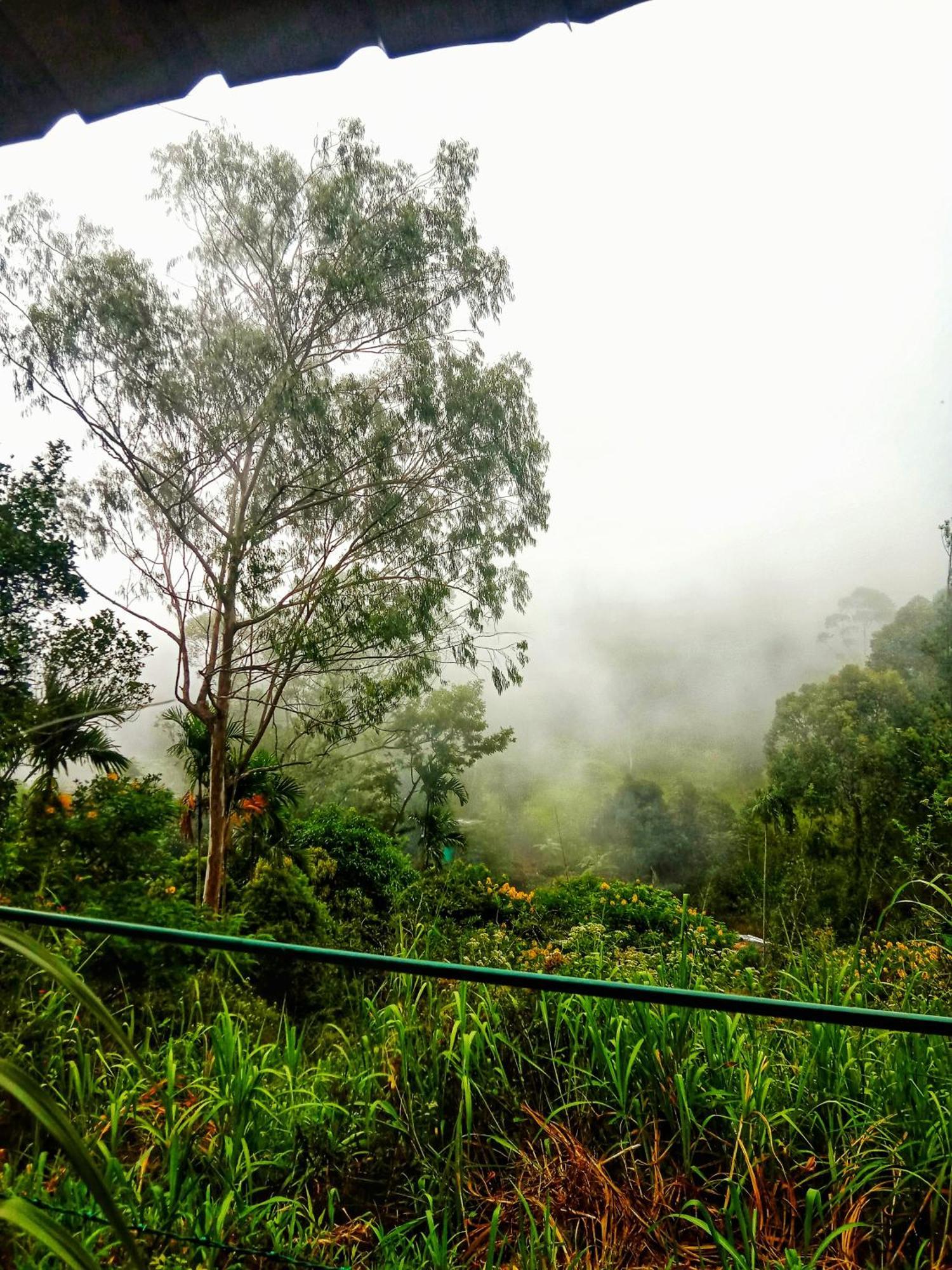 New Rose Villa Bandarawela Ella Ngoại thất bức ảnh