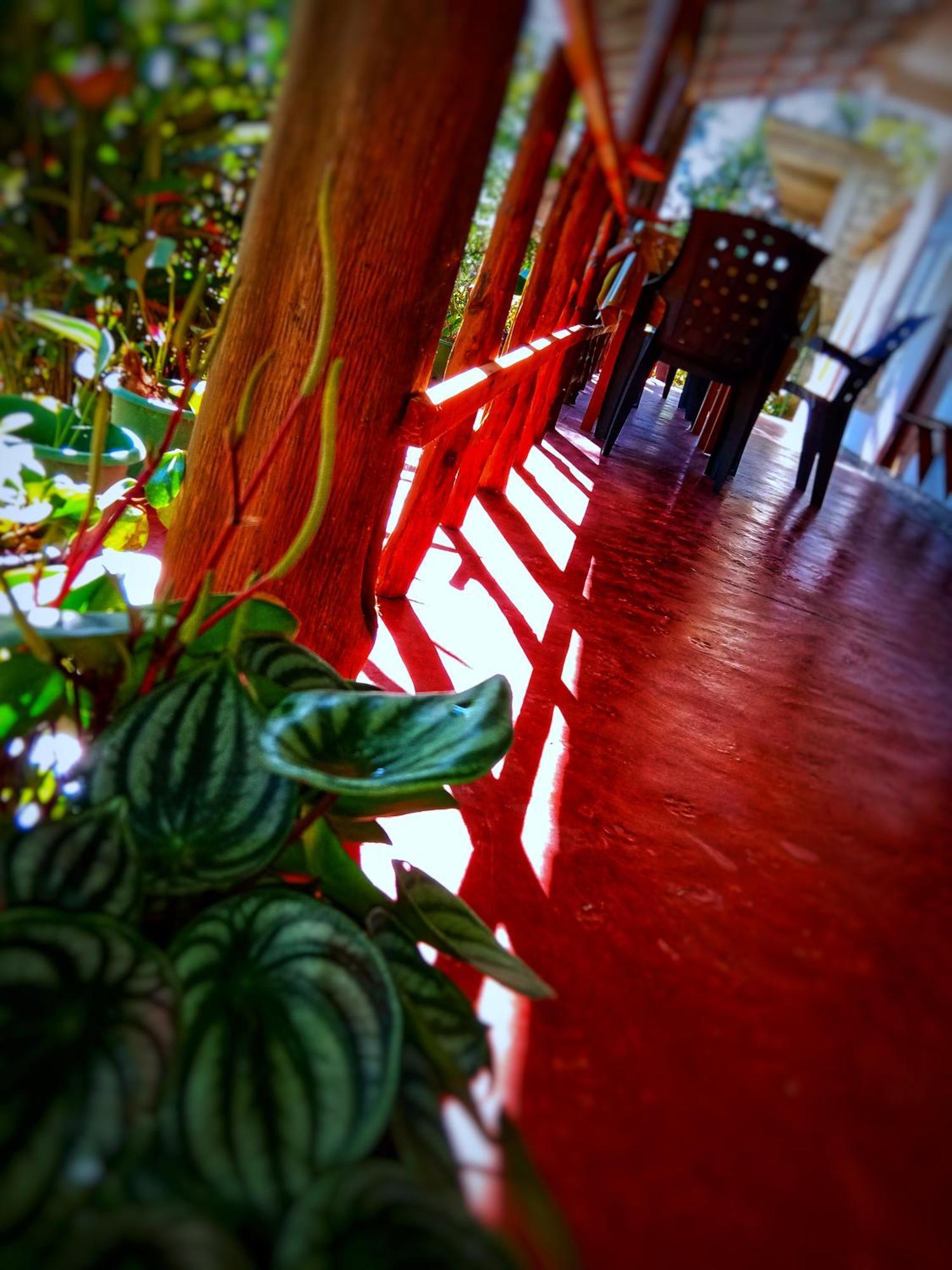 New Rose Villa Bandarawela Ella Ngoại thất bức ảnh
