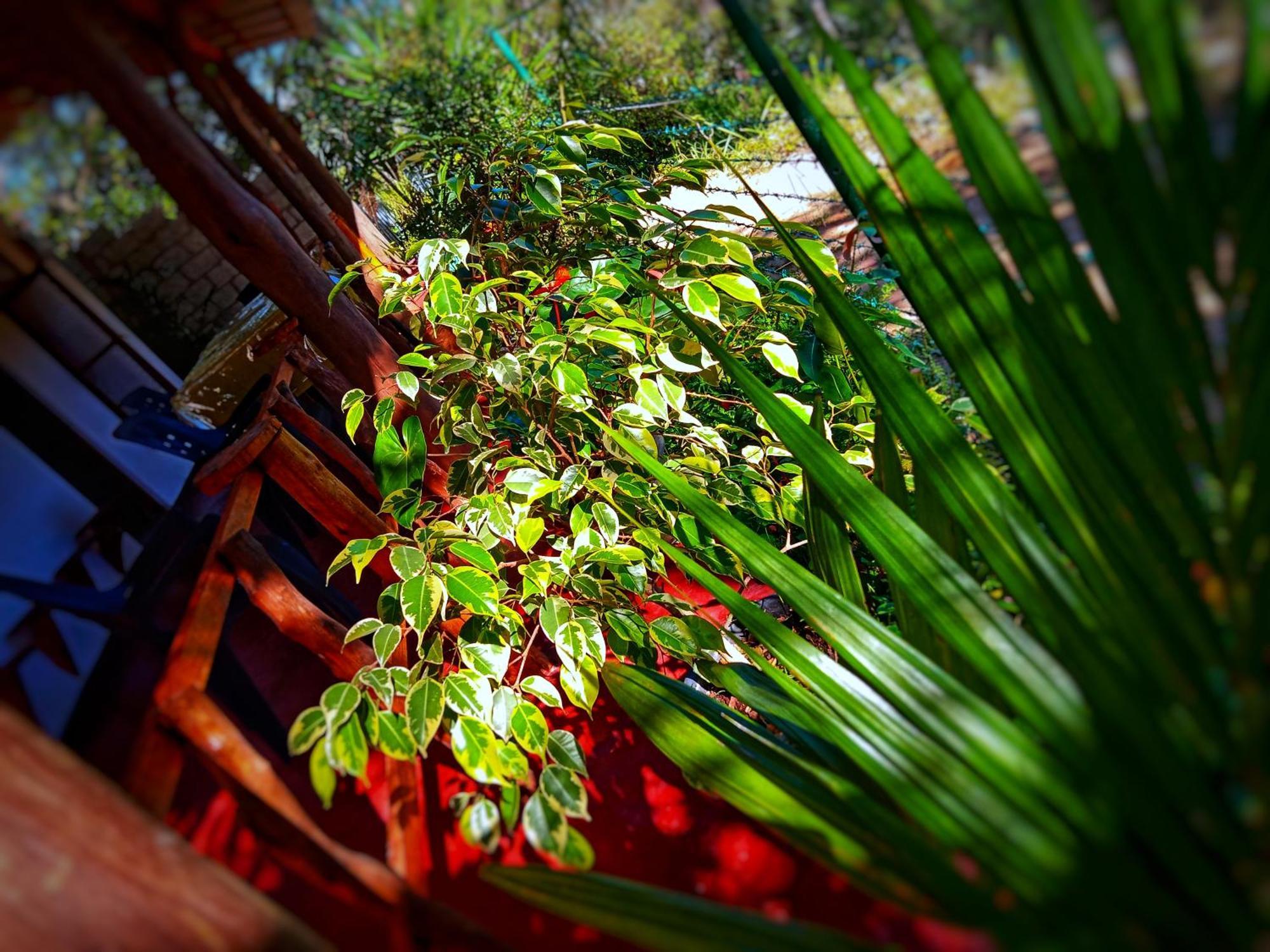 New Rose Villa Bandarawela Ella Ngoại thất bức ảnh
