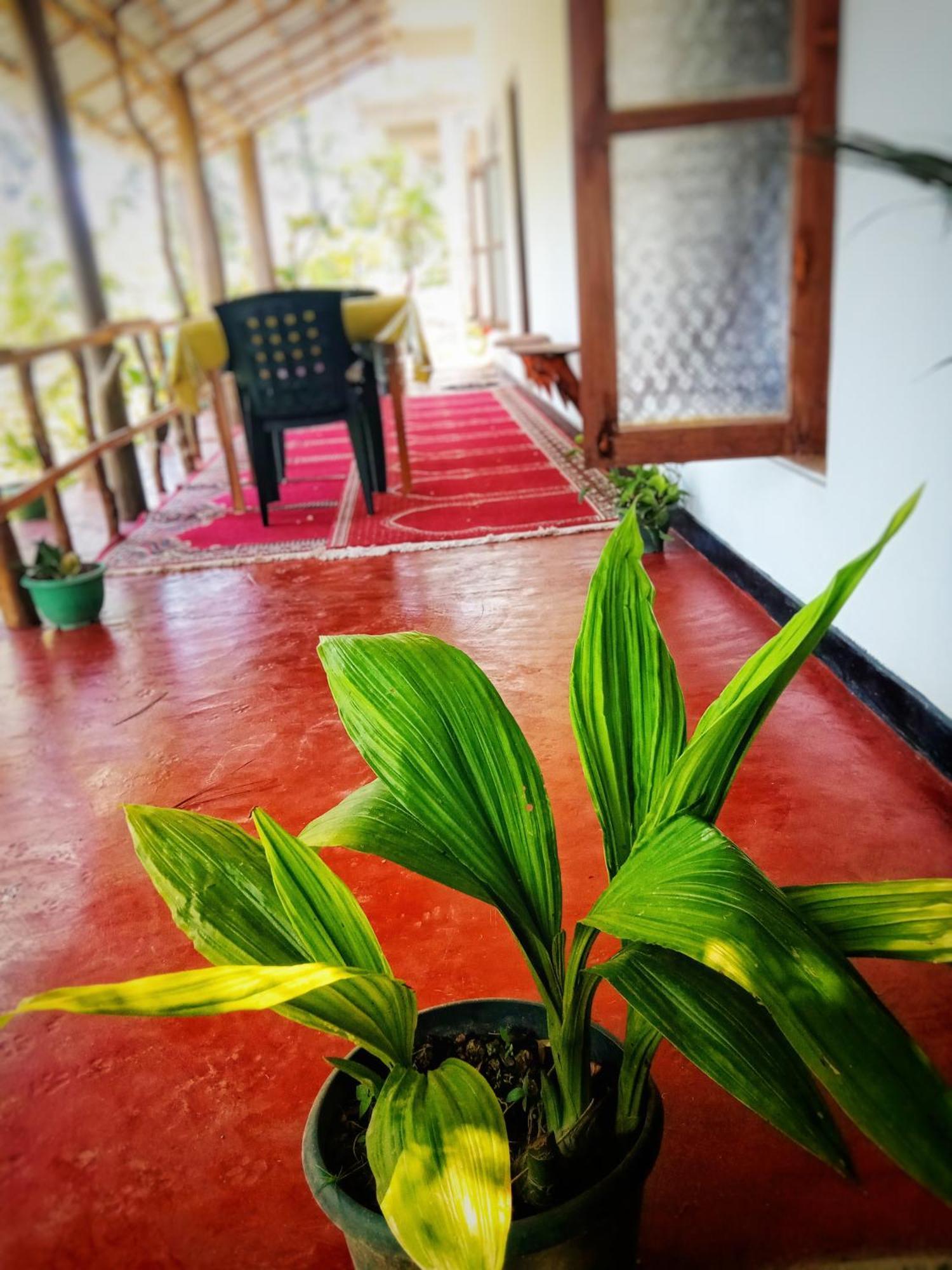 New Rose Villa Bandarawela Ella Ngoại thất bức ảnh