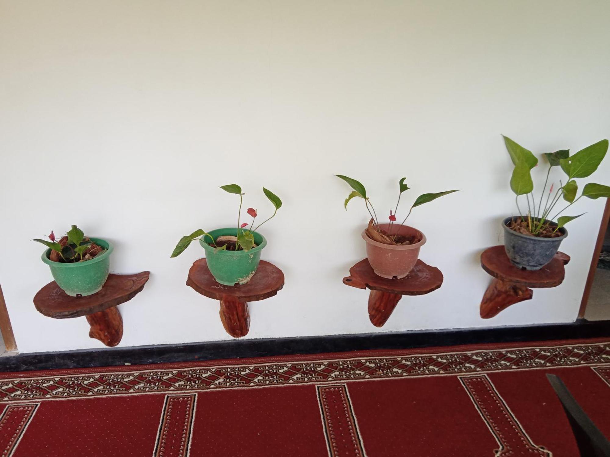 New Rose Villa Bandarawela Ella Ngoại thất bức ảnh
