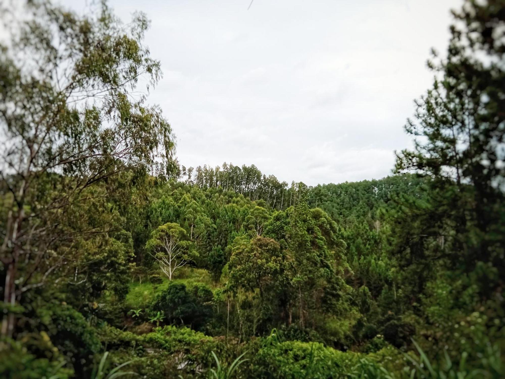 New Rose Villa Bandarawela Ella Ngoại thất bức ảnh