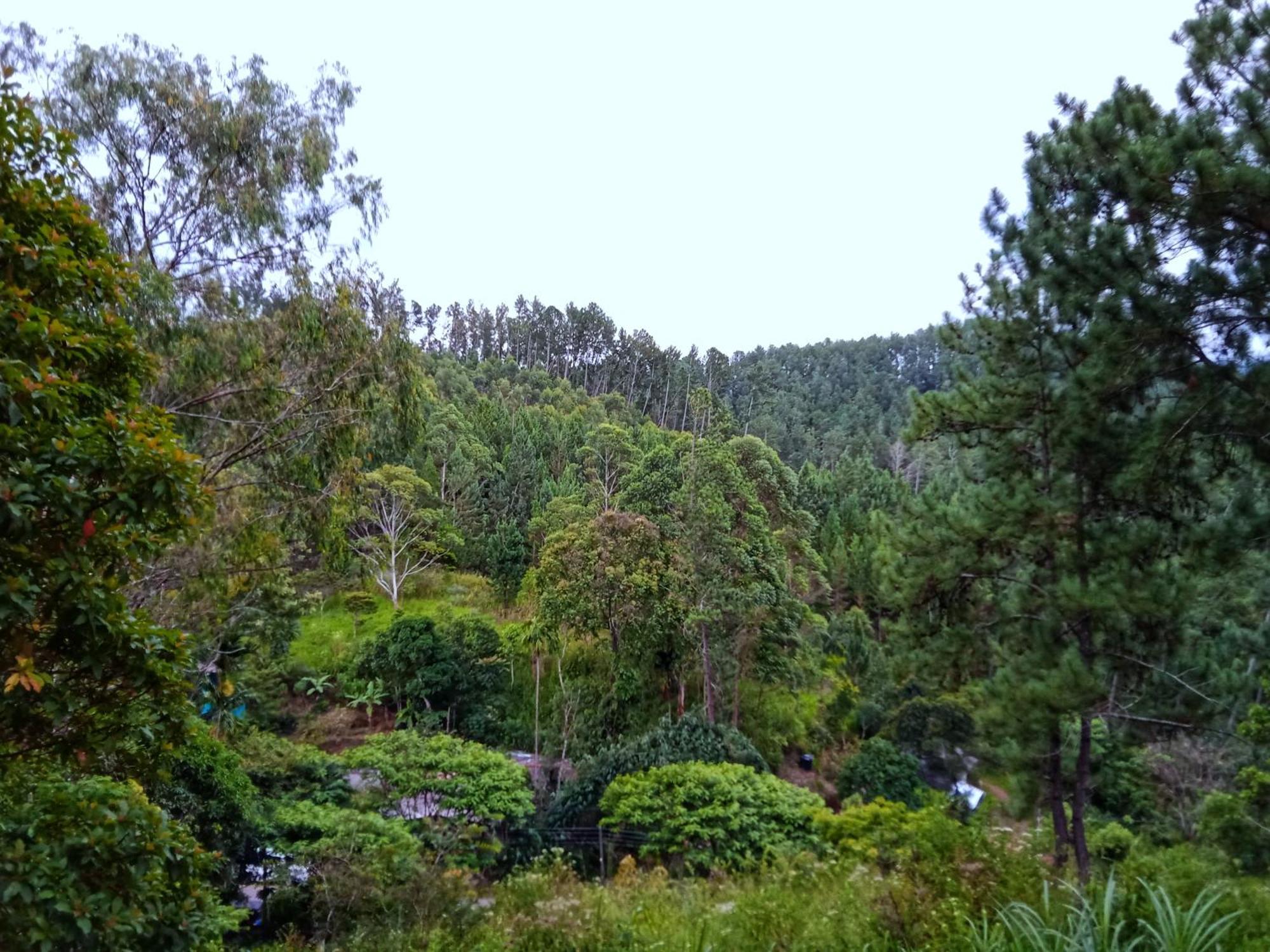 New Rose Villa Bandarawela Ella Ngoại thất bức ảnh