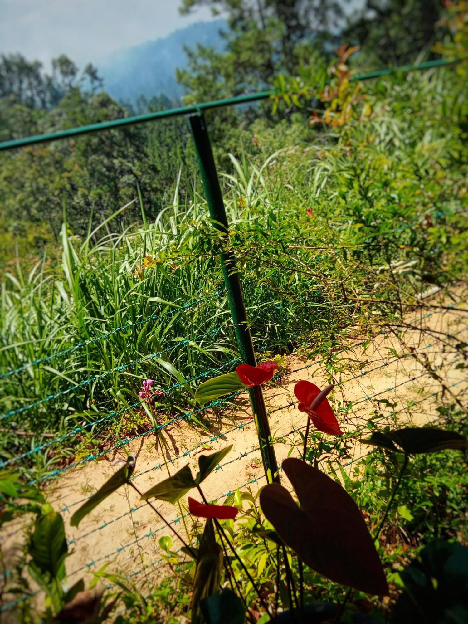 New Rose Villa Bandarawela Ella Ngoại thất bức ảnh