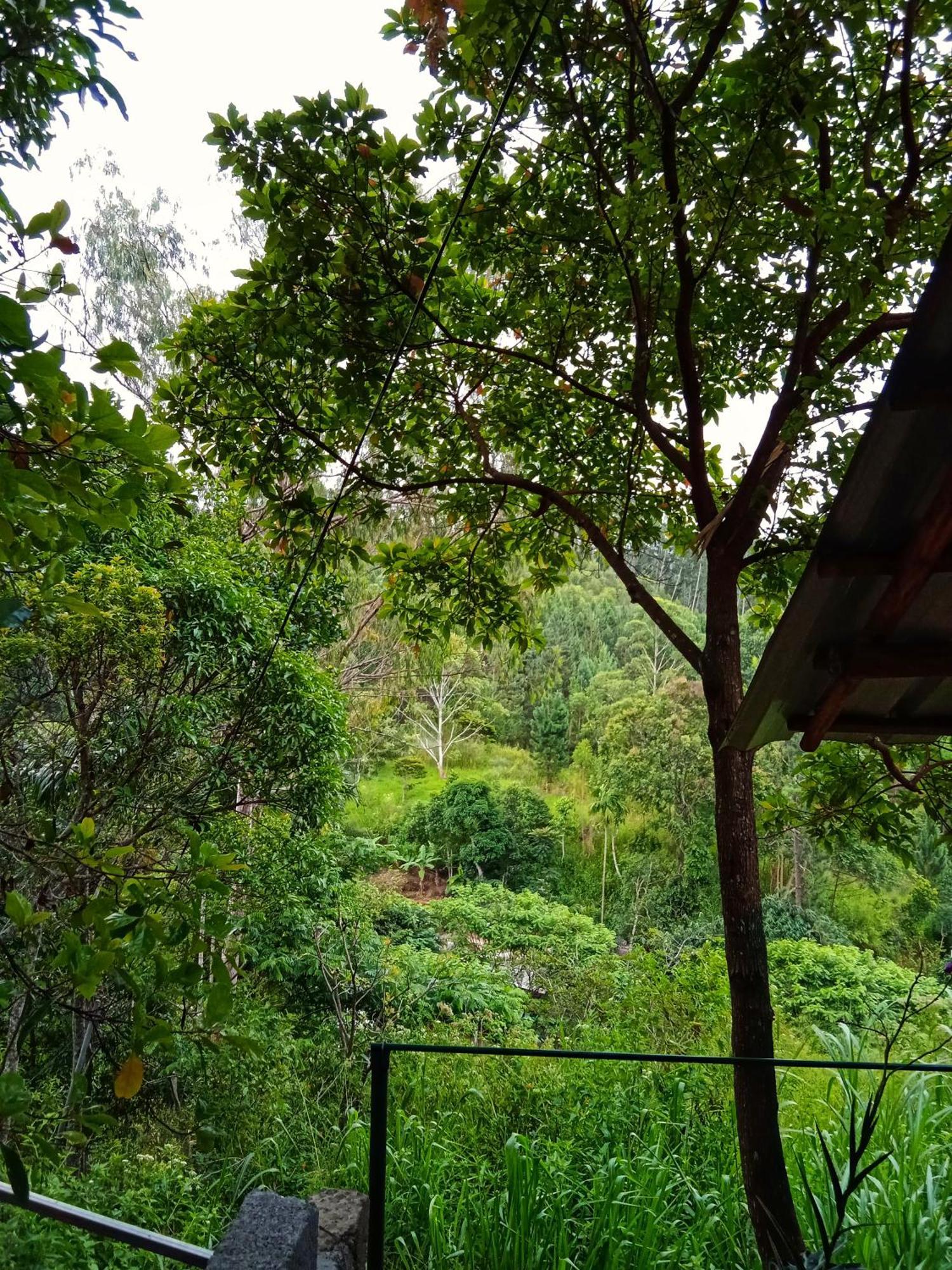 New Rose Villa Bandarawela Ella Ngoại thất bức ảnh