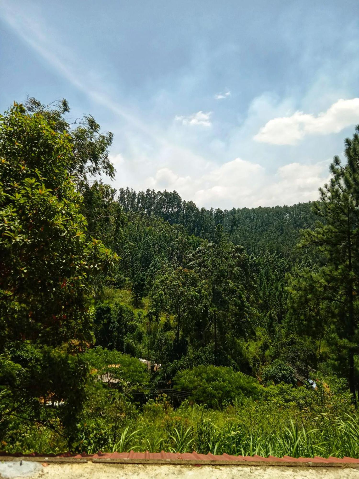 New Rose Villa Bandarawela Ella Ngoại thất bức ảnh